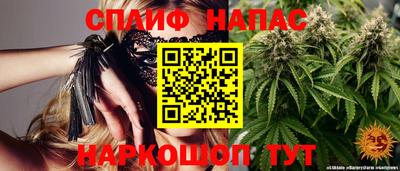 соль ск Можга