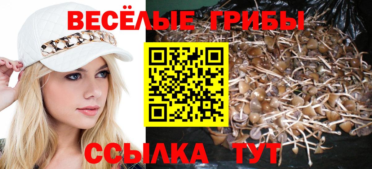 Псилоцибиновые грибы мухоморы  Галлюциногенные грибы ЛСД  Вход с VPN  Владикавказ 