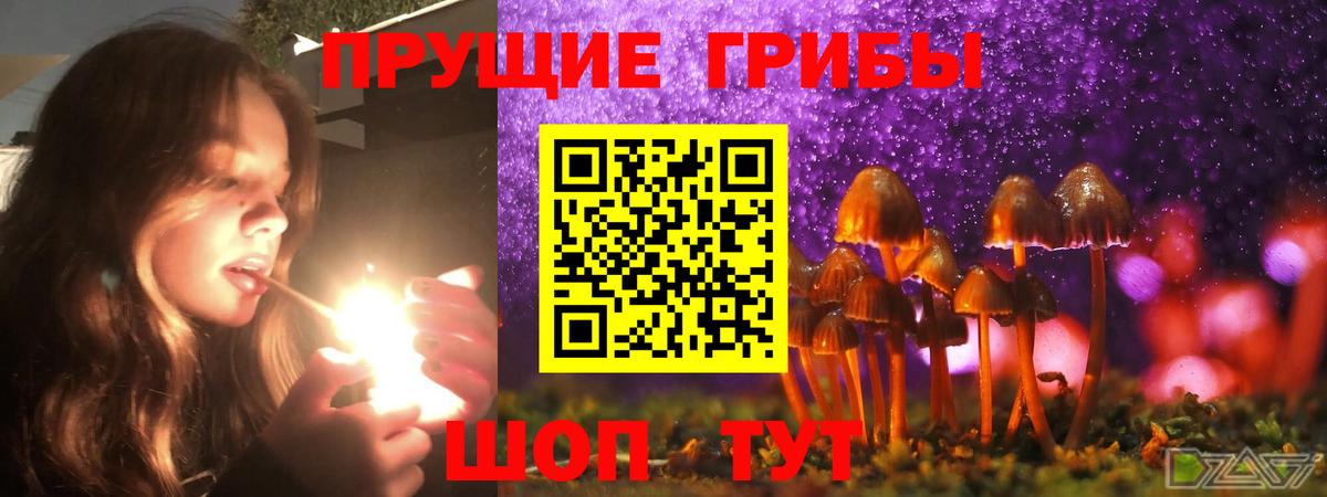 Галлюциногенные грибы Cubensis Владикавказ
